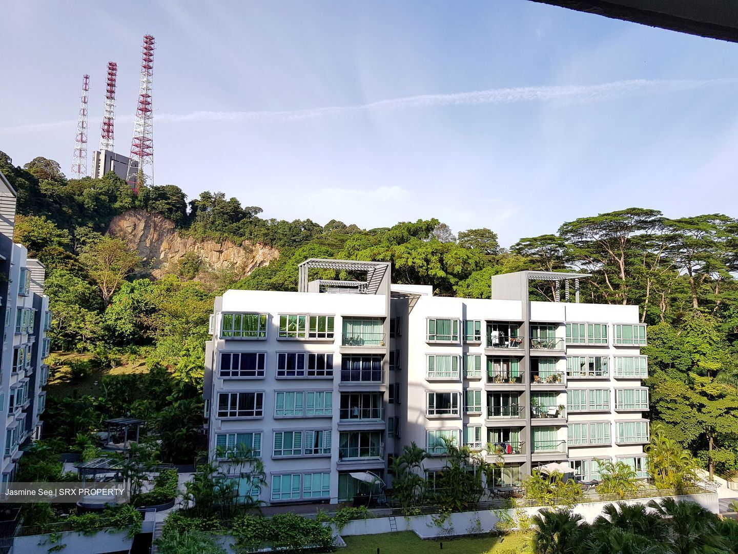 The Raintree (D21), Condominium #389787571